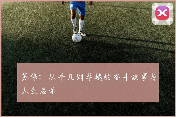 苏伟：从平凡到卓越的奋斗故事与人生启示