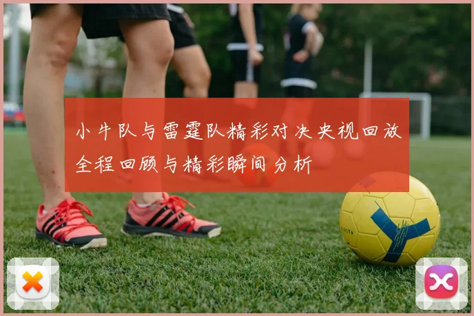 小牛队与雷霆队精彩对决央视回放全程回顾与精彩瞬间分析
